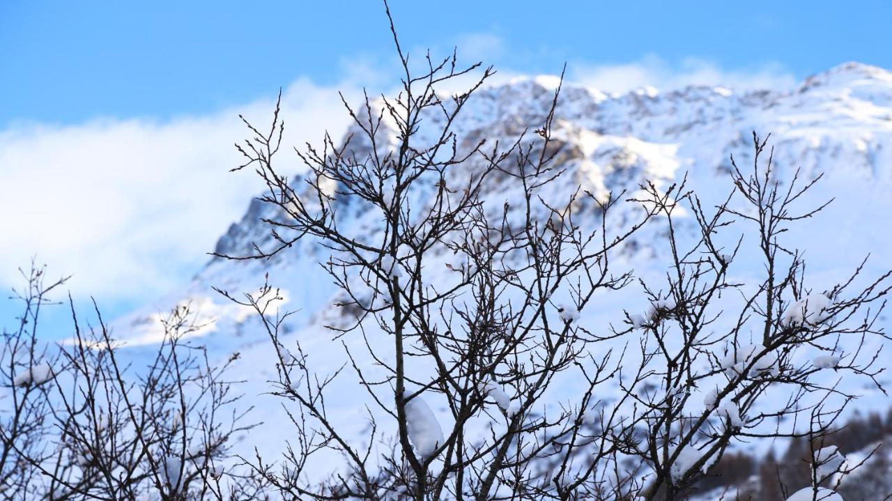 La Cazetta Daire Bonneval-sur-Arc Dış mekan fotoğraf